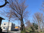 9303_985s200315.jpg