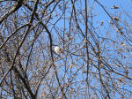 9337_1012s200315.jpg