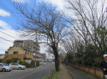 9349_217s200315.jpg