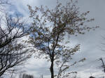 9354_n17s200315.jpg