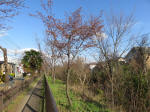 9389_n26s2001317.jpg