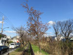 9391_n20s200317.jpg