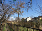 9393_n17200317.jpg