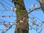 9402_286s200317.jpg