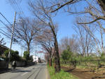 9447_976s200318.jpg