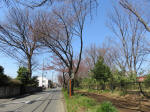 9450_977s200318.jpg