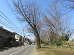9465_988s200318.jpg