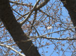 9480_996s200318.jpg