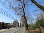 9505_1007s200318.jpg