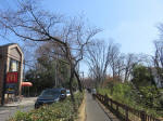9527_105s200318.jpg