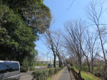 9538_129s200318.jpg