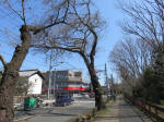 9550_199s200318.jpg