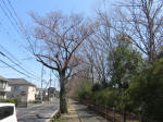9557_236s200318.jpg