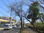 9564_271s200318.jpg