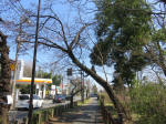 9567_271-1s200318.jpg