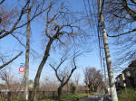 9570_640s200319.jpg
