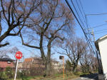 9573_626s200319.jpg