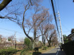 9579_618s200319.jpg