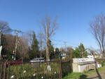9583_ks38s200319.jpg