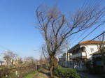 9600_822s200319.jpg