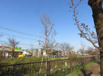 9604_ks47s200319.jpg
