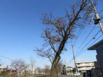 9607_810s200319.jpg