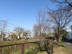 9610_ks4s200319.jpg