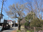 9639_880s200320.jpg