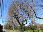 9642_883s200320.jpg
