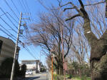 9645_890s200320.jpg