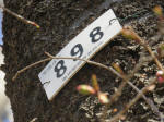 9653.jpg