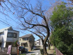9654_899s200320.jpg