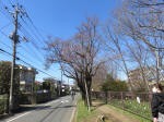 9660_914s200320.jpg