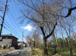 9681_948s200320.jpg