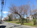 9703_968s200320.jpg