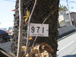 9708.jpg