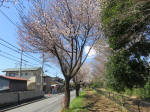 9709_972s200320.jpg