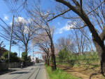 9720_976s200320.jpg