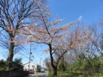 9726_978s200320.jpg