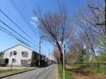 9729_981s200320.jpg