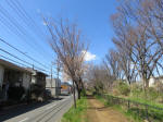 9732_983s200320.jpg