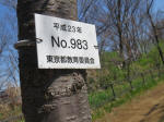 9734.jpg