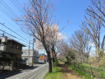 9735_984s200320.jpg
