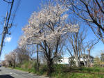 9738_985s200320.jpg