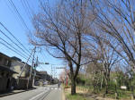 9750_989s200320.jpg
