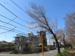 9760_995s200320.jpg