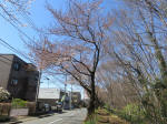9763_996s200320.jpg