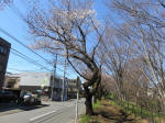 9766_997s200320.jpg