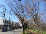 9769_998s200320.jpg