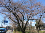 9781_1004-1s200320.jpg